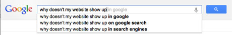 Why doesn't my website show up in Google?